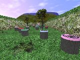 nz_playnoob